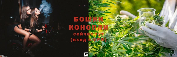 молекула духа Нея