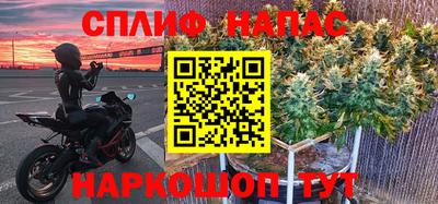 молекула духа Донской