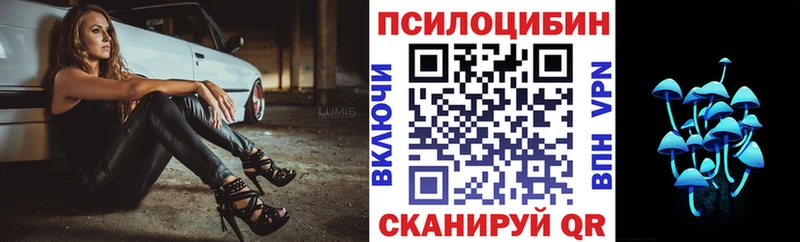 Псилоцибиновые грибы мицелий  Кашира 