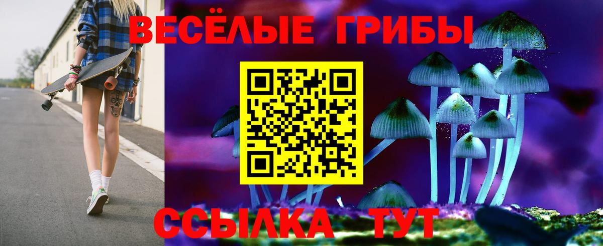 Кашира  Галлюциногенные грибы мухоморы  Вход с VPN 